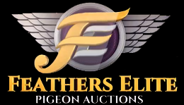 Feathers Elite Pigeon Auctions