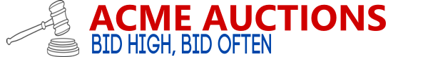 AuctionMethod Demo
