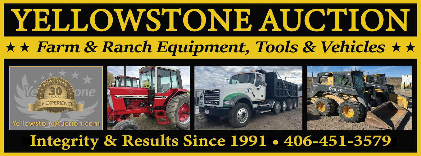Yellowstone Auction