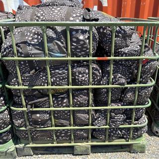 Lot of The Earth Ship Molecule-4 Tents