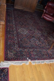 Area Rugs 175in x 121in
